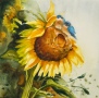 Sunny Blue 8x8
