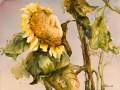 1-Vickie Nelson-Gloaming Hour-55.9x76.2cm